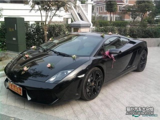 Wedding Transportation Exotic Car